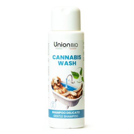 Cannabis wash sampon