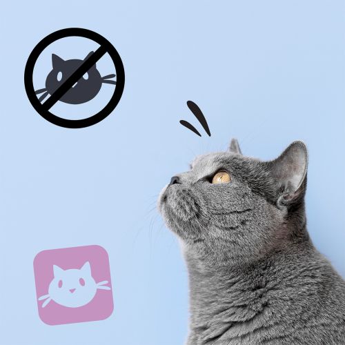 No Dog & Cat STOP távoltartó spray – a nemkívánatos területjelölés ellen (500 ml)