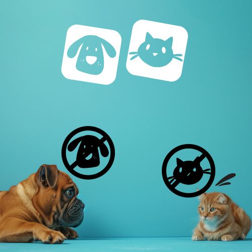 No Dog & Cat STOP távoltartó spray – a nemkívánatos területjelölés ellen