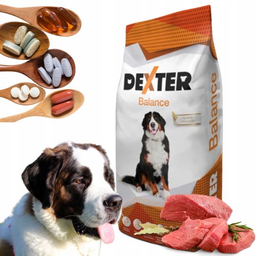 REX DEXTER Balance szárazeledel felnőtt kutyáknak